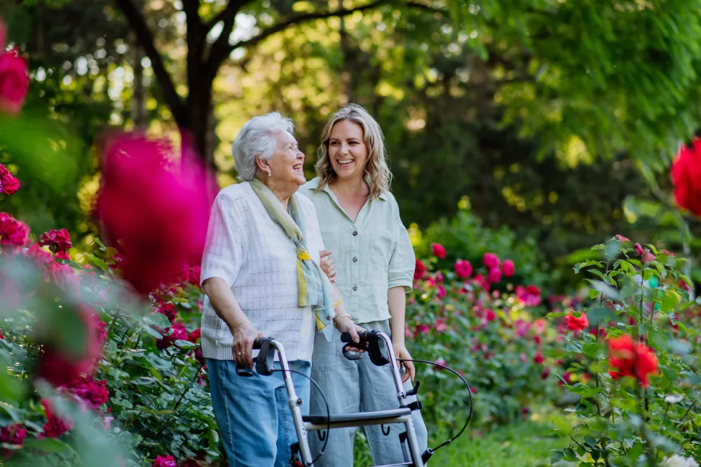 Smiling elderly woman with walker and young caregiver strolling amid vibrant pink rose garden.